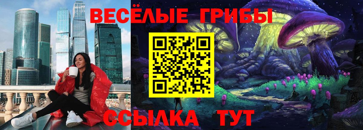 Псилоцибиновые грибы мицелий  Домодедово 