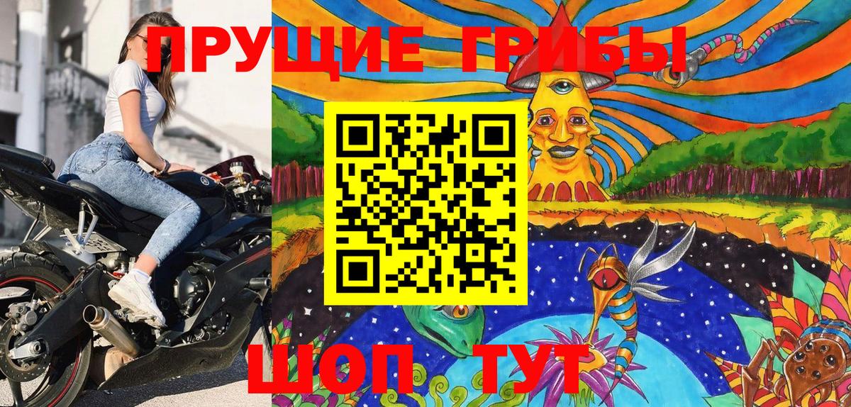 Домодедово  Псилоцибиновые грибы Cubensis  Вход с VPN 