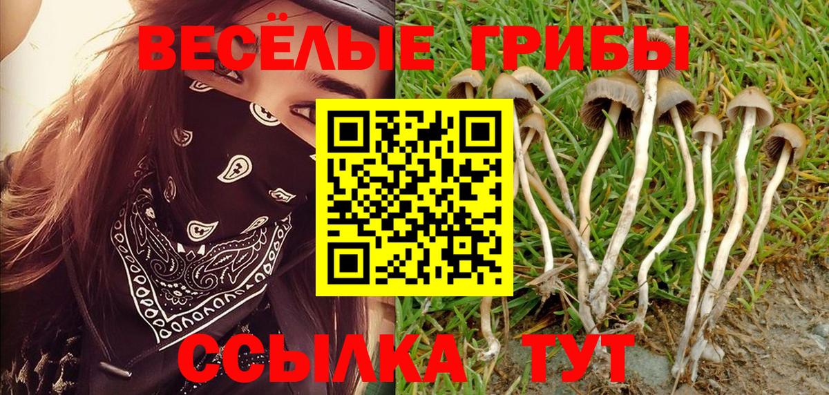 Канабис Домодедово