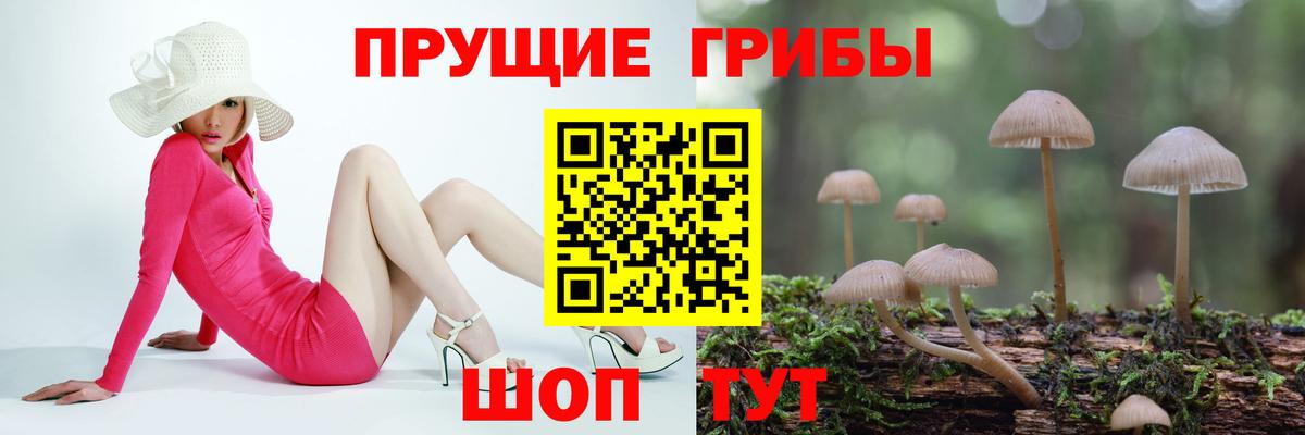Галлюциногенные грибы мухоморы Домодедово